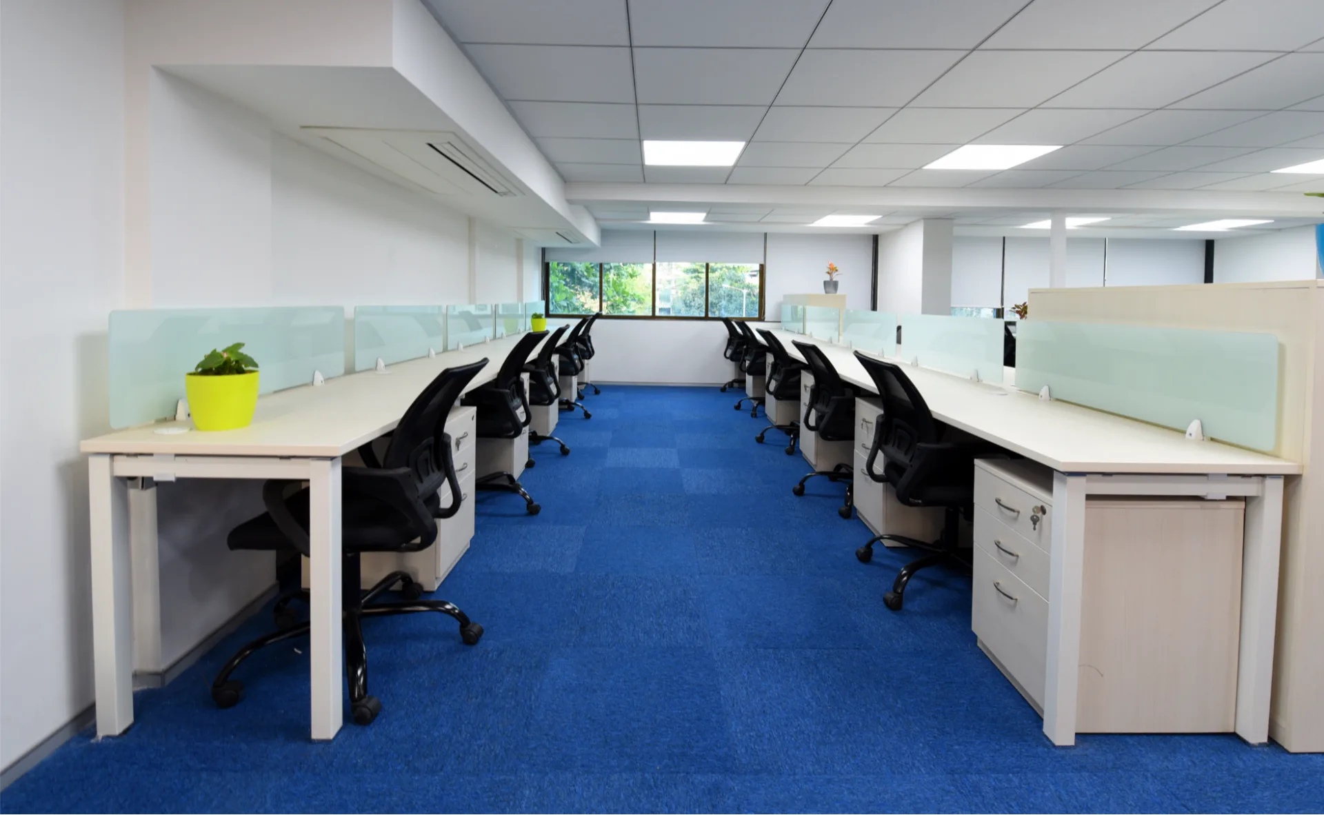 Back Office